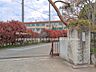 周辺：中学校 2720m 川越市立福原中学校