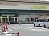 周辺：スーパー 700m いなげや大泉学園店