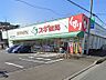 周辺：ドラッグストア 500m スギドラッグ 駒林店
