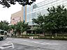 周辺：スーパー 800m ライフ大泉学園駅前店