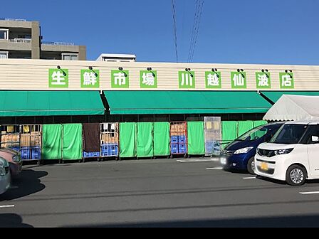 スーパー 600m 生鮮市場 田中青果 川越仙波店