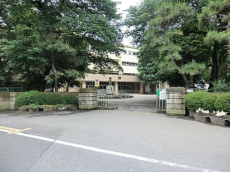小学校 700m 柏市立柏第三小学校