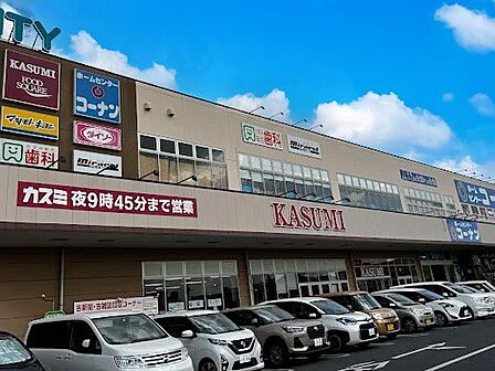 ショッピングセンター 1400m ピアシティ柏中新宿