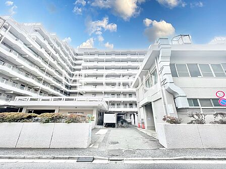 溢れる陽光でご家族の笑顔も輝く!