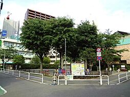 【公園】平塚中央公園まで263ｍ