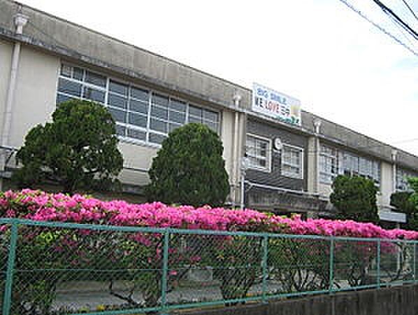 画像16:寝屋川市立第三中学校（489m）