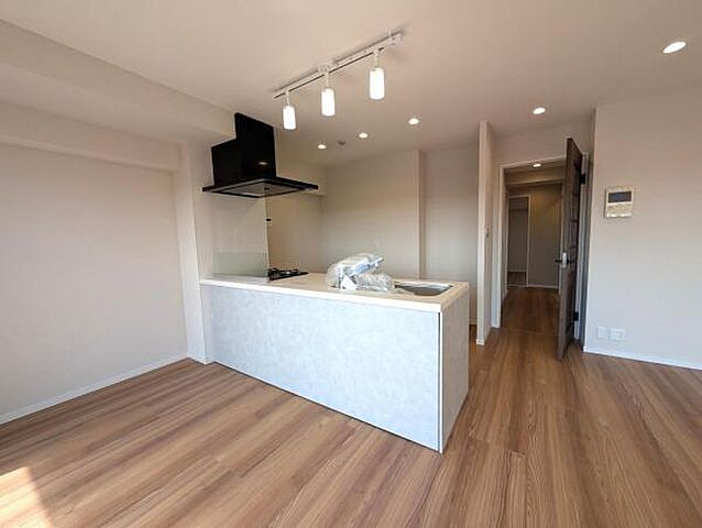 キッチン ルイシャトレ綾瀬 8階/-