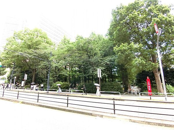 周辺を拡大表示