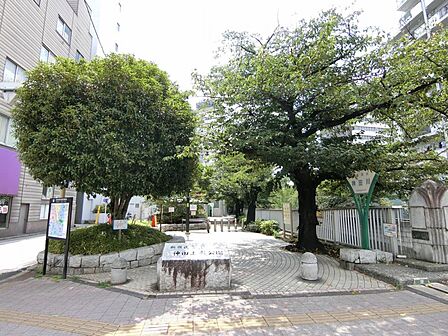 神田川沿いの遊歩道に沿って整備された公園では神田川に沿ってソメイヨシノの桜並木を楽しめます。
