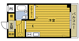 ShelteropusKaKu ワンルームの間取図画像