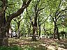 周辺：宮前公園の外観