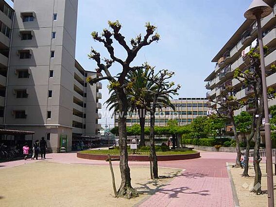 敷地内の広場