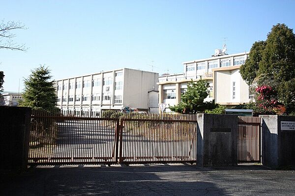画像24:名古屋市立東星中学校 521m