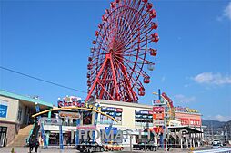 シグナス