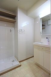 オシャレなシャンプードレッサーがあります。棚付き。