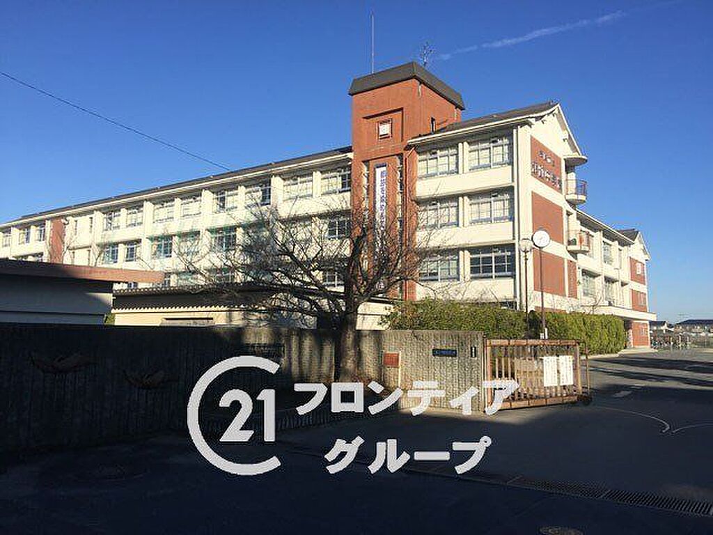 Image 10