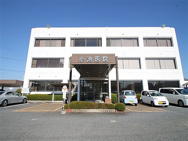 ハレレア