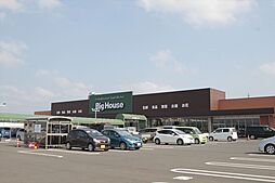 ハレレア