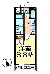ワイズパラシオン 1階1Kの間取り