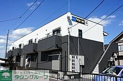 プラチナメープル