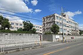 クレリア高槻南松原 205 ｜ 大阪府高槻市南松原町（賃貸アパート1DK・2階・34.78㎡） その19