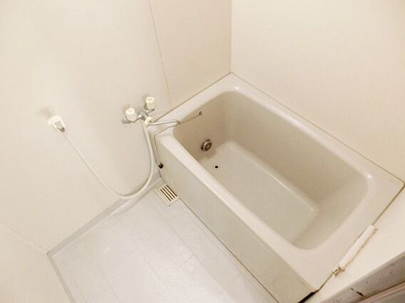 フィオーレ栗の葉_その他_0