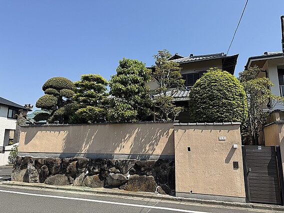 現地