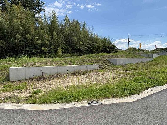 現況更地です