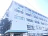 周辺：医療法人健幸会むかいじま病院（770m）