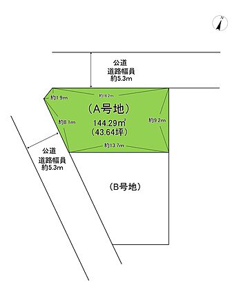現地写真