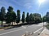 その他：バルコニーからさくら通り、谷保第三公園を望めます
