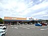 その他：ナリタヤ印旛日本医大前店まで290m 徒歩約4分