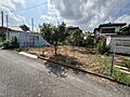現地写真
