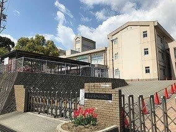 南が丘小学校ま...