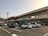 周辺：ユアーズアクロスプラザ高陽店（272m）
