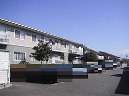 フレグランスアイビーB