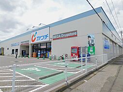 カワチ薬品 塩尻店（1226m）