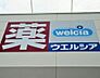 周辺：ウエルシア一宮今伊勢店まで738ｍ