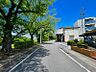 その他：目の前には桜並木！春には気楽に桜を楽しむことができます！
