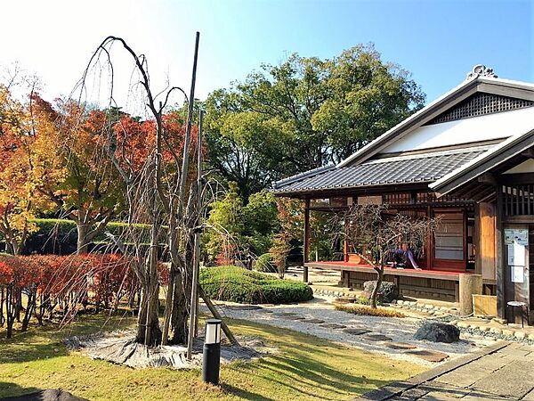 周辺を拡大表示