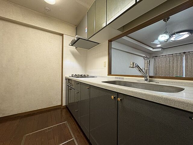 洗面 ライオンズガーデン三河安城 1階/-