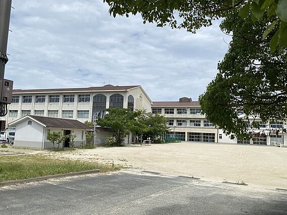 美山小学校まで...
