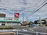 周辺：スギ薬局住吉店まで　489m　徒歩約7分