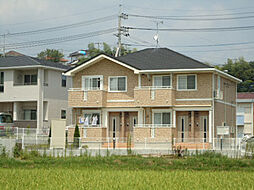 グレイス フォーリスト