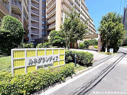 植栽までしっかりと整えられ、管理体制の良好さがうかがえるエントランスアプローチです。