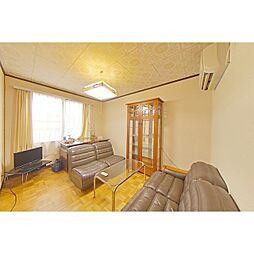 ファミリーハイツ 3DKの写真