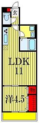 マスターグレイス 1LDKの間取図画像
