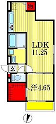 グラン・マーキュリー 1LDKの間取図画像