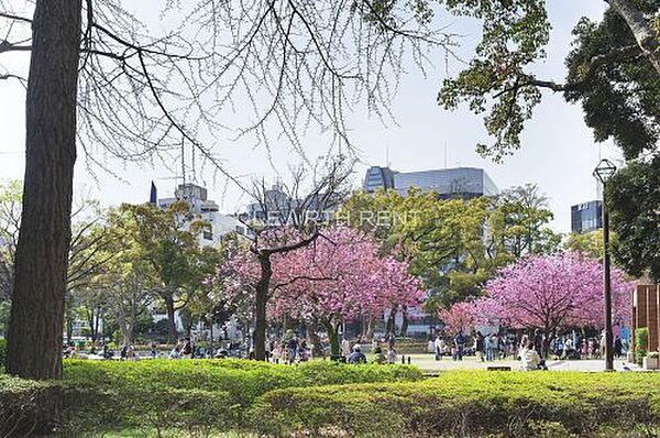 画像19:【公園】横浜公園まで534ｍ