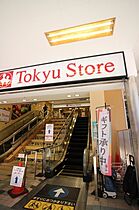 プラティーク品川中延  ｜ 東京都品川区西中延2丁目7-16（賃貸マンション1LDK・5階・46.44㎡） その28